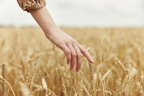 Woman hands countryside industry cultivation autumn season concept