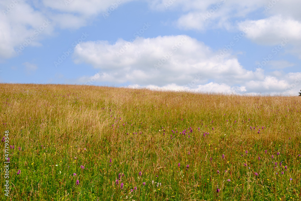 Die Wasserkuppe, der höchste Berg der Rhön im Herbst, Biosphärenreservat Rhön, Hessen, Deutschland