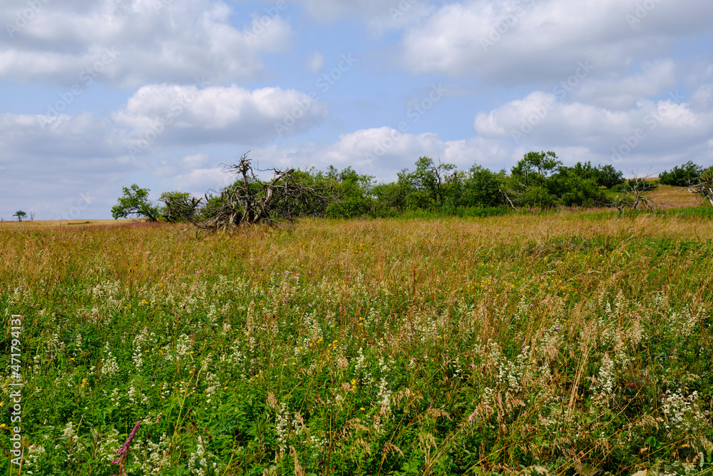 Die Wasserkuppe, der höchste Berg der Rhön im Herbst, Biosphärenreservat Rhön, Hessen, Deutschland
