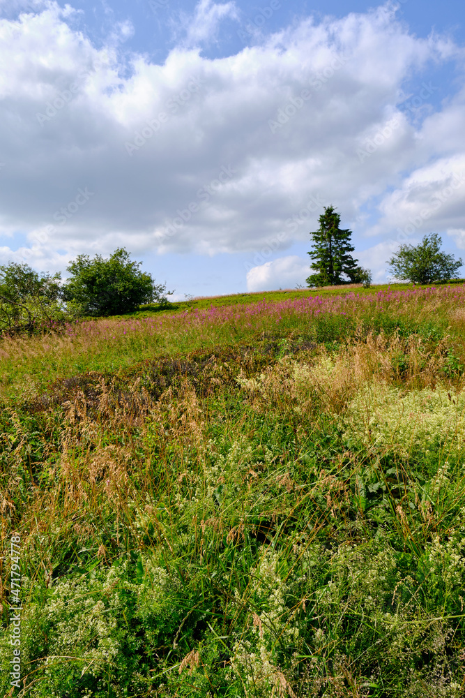 Obraz premium Die Wasserkuppe, der höchste Berg der Rhön im Herbst, Biosphärenreservat Rhön, Hessen, Deutschland