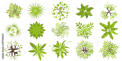 Trees and plants top view for architectural and landscape design. Different colored plants, grass and trees vector set. Graphic, isolated on white. Elements for design projects. Green spaces.