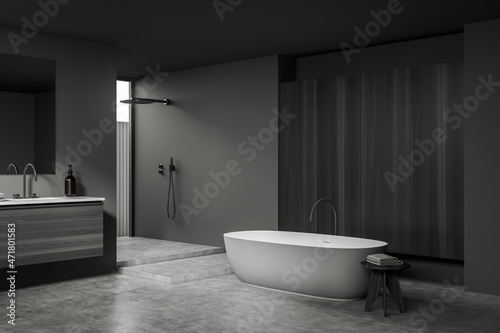 Dark bathroom interior with sink and mirror  tub and douche