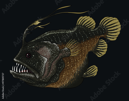 Drawing football fish, deep seafish, art.illustration, vector