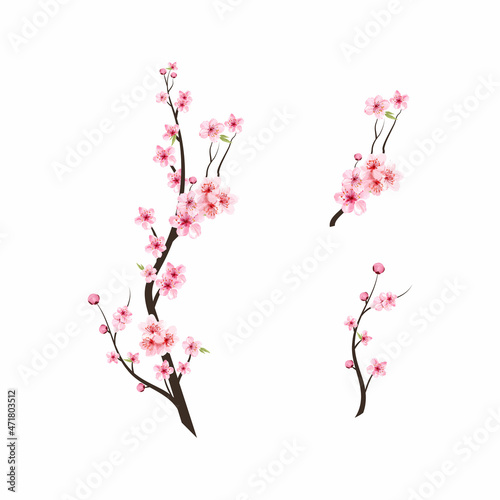 Fotobehang Watercolor cherry bud