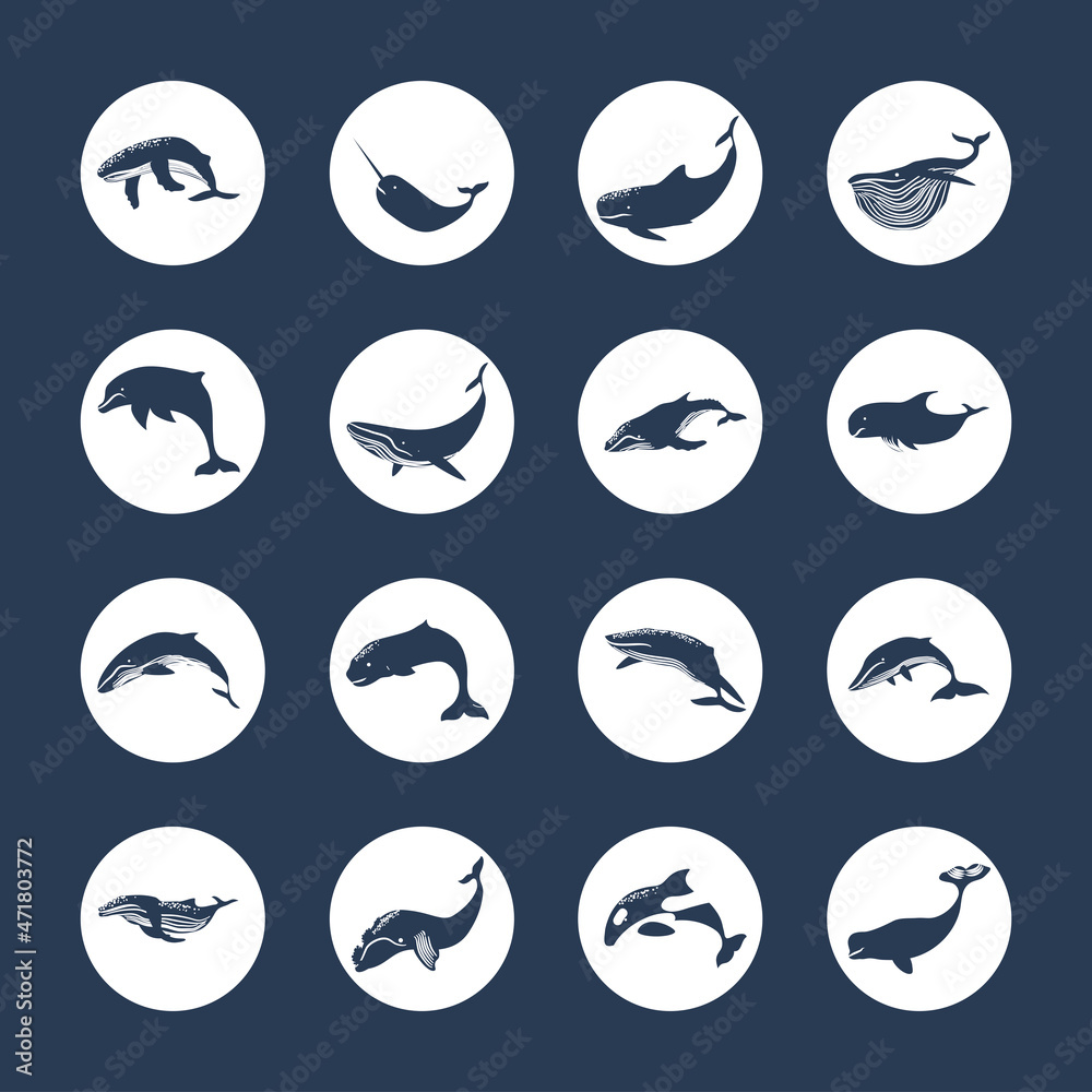 set silhouette of whales