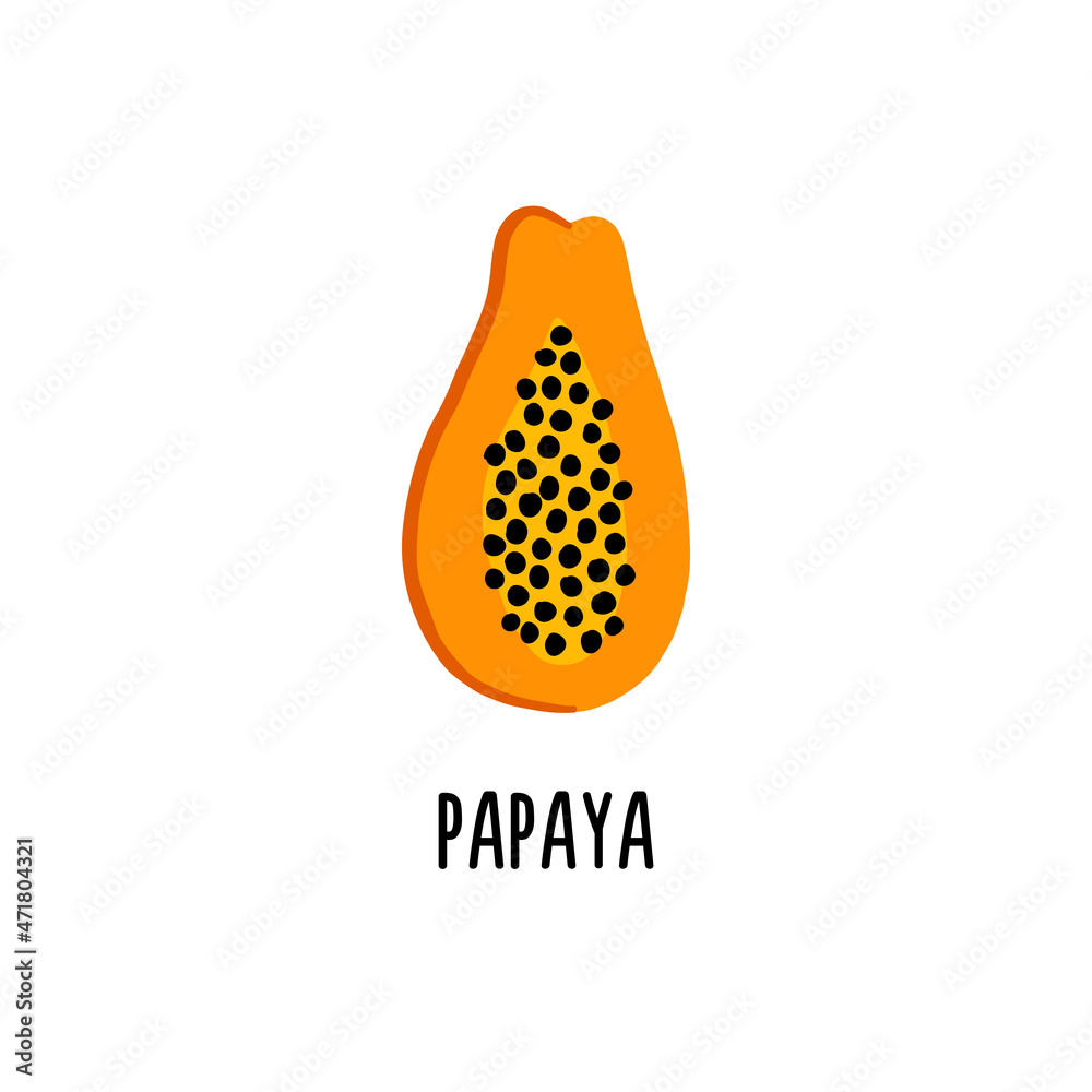 Fototapeta premium Isolated vector illustration of papaya on a white background. Clipart for baby food catalog