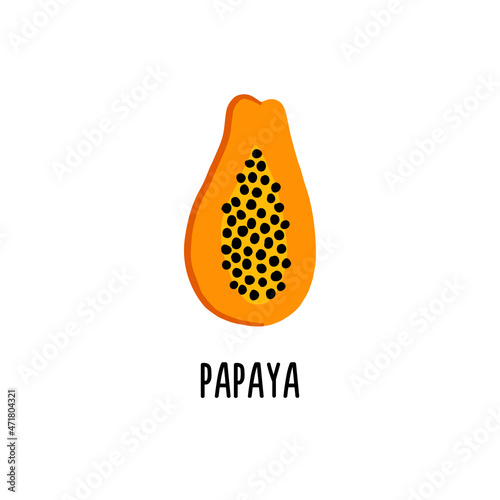 Isolated vector illustration of papaya on a white background. Clipart for baby food catalog