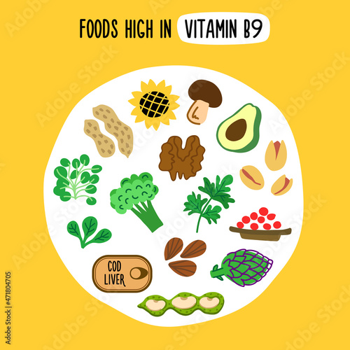 The scheme of vitamin b9 content in products.