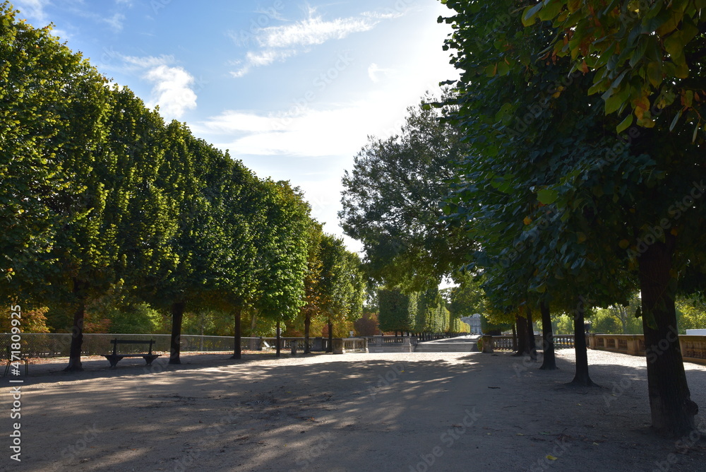 Allée du jardin des Tuileries en automne à Paris, France