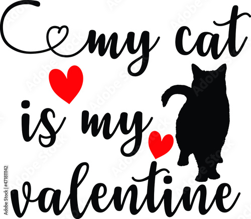My cat is my valentine