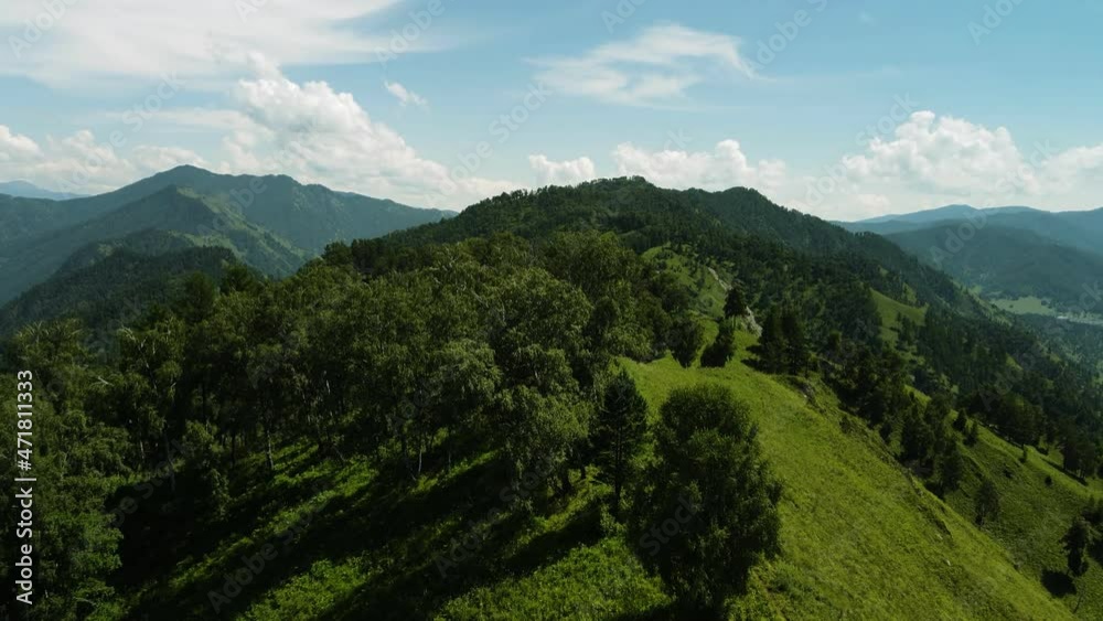 A flight along the peak of the green mountain. Summer tourist landscapes. Altai Krai A flight along the peak of the green mountain. Summer tourist landscapes. Altai Krai
