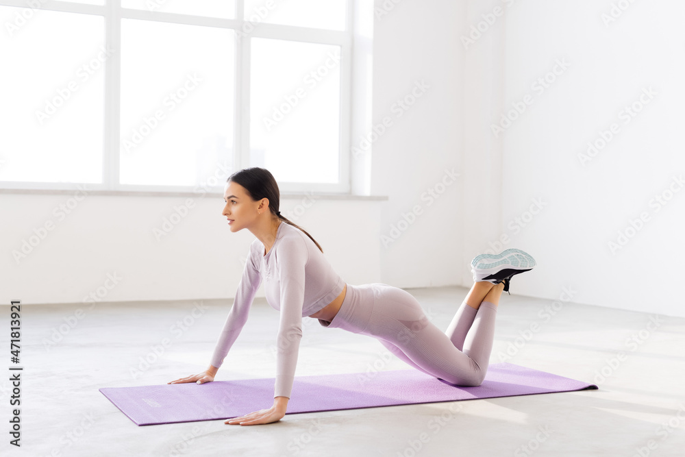 Fototapeta premium Young woman standing in plank pose on fitness mat, training at home