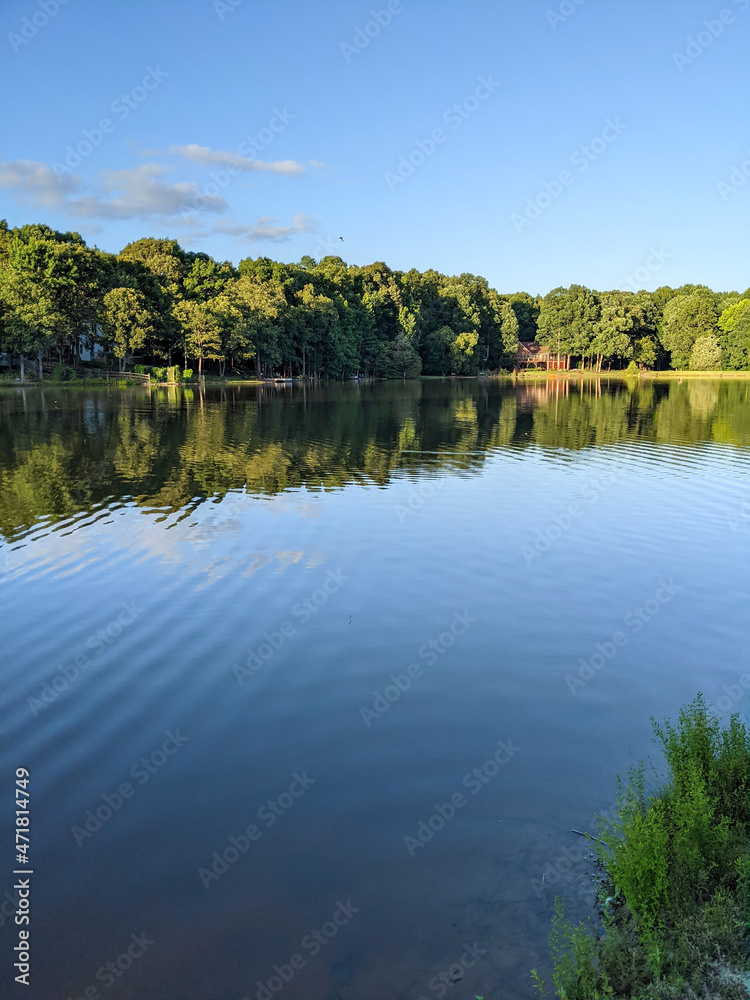 viewing a lake  with forest and blue sky at sunset