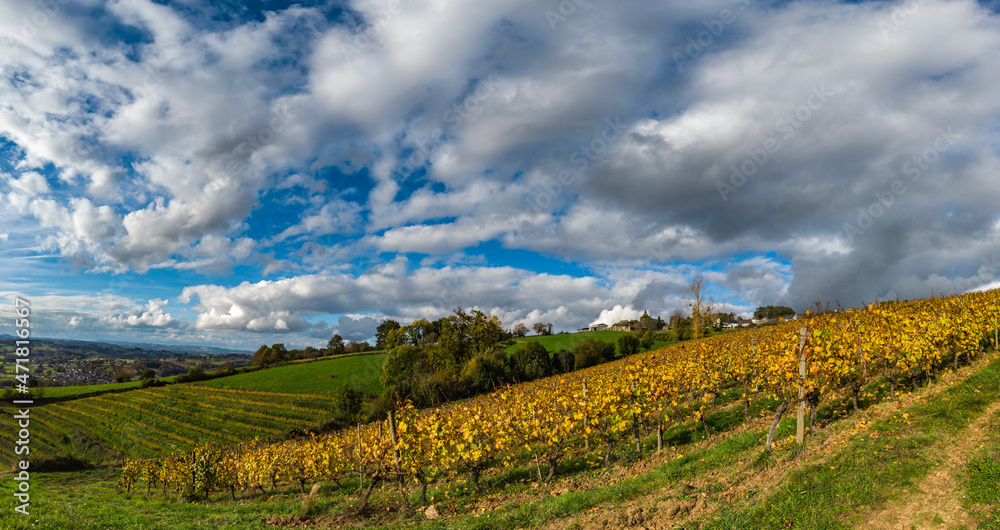 Allassac (Corrèze, France) - La Chartroulle - Vue panoramique automnale des vignobles des coteaux de la Vzère