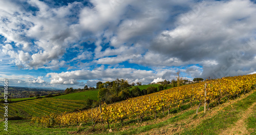 Allassac (Corrèze, France) - La Chartroulle - Vue panoramique automnale des vignobles des coteaux de la Vzère