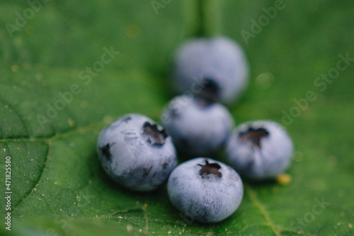 blueberries