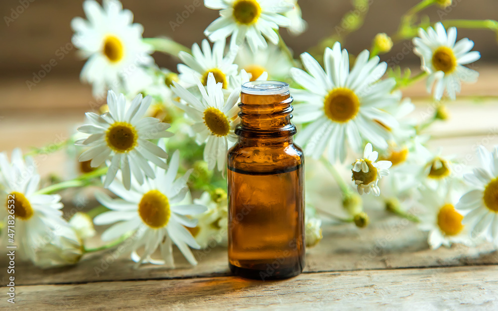 Chamomile essential oil in a small bottle. Selective focus. Chamomile essential oil in a small bottle. Selective focus.
