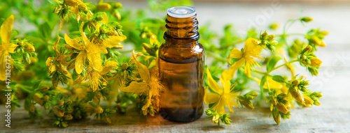 фотографія St. John's wort essential oil in a small bottle. Selective focus.