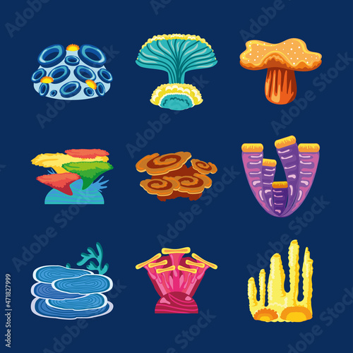 different of colored coral reef