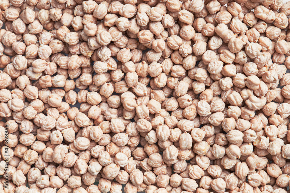 Natural and raw chickpeas. Fresh legumes close up