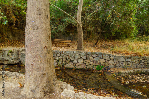 Kesalon Stream with trees, and fall foliage, En Hemed photo