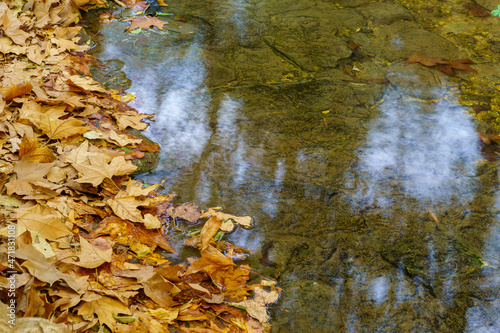 Kesalon Stream with trees, and fall foliage, En Hemed photo