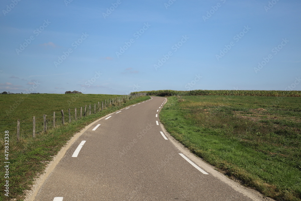 Rural landscape with trees and country road in France. Photo was taken on a beautiful sunny day with and clear blue sky.