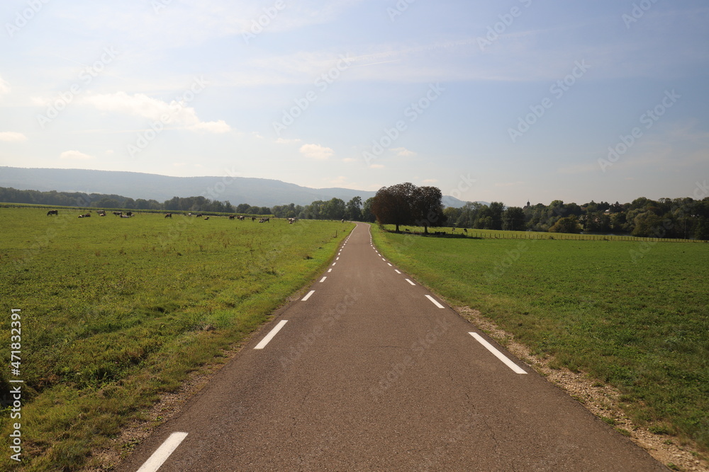 Rural landscape with trees and country road in France. Photo was taken on a beautiful sunny day with and clear blue sky. Rural landscape with trees and country road in France. Photo was taken on a beautiful sunny day with and clear blue sky.