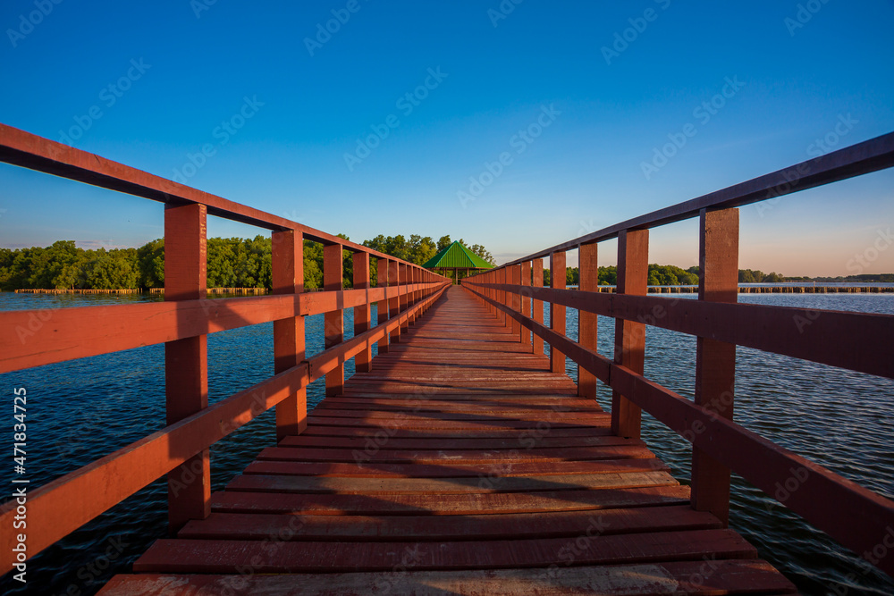 The forest mangrove with wooden walkway bridge,Red bridge and bamboo line,Tropical Climate, Reflection, Summer, Asia, Thailand,Bridge - Built Structure, Footbridge, Forest, Tropical Climate, Woodland The forest mangrove with wooden walkway bridge,Red bridge and bamboo line,Tropical Climate, Reflection, Summer, Asia, Thailand,Bridge - Built Structure, Footbridge, Forest, Tropical Climate, Woodland