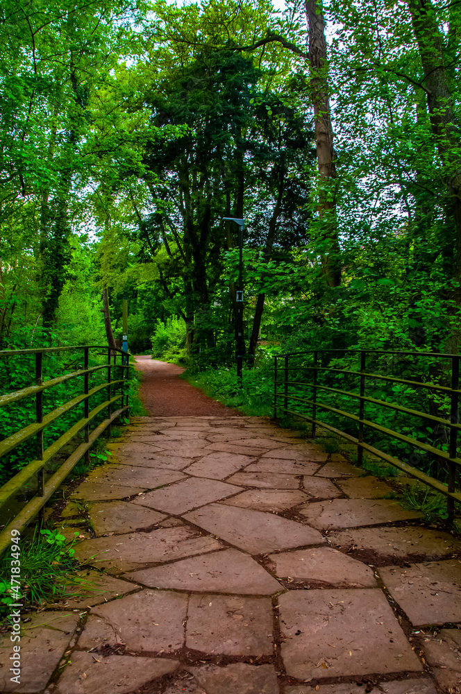 The walkway bridge in the natural park Aqua magica near Bad oeynhausen in Germany. Famous tourist destination and place for visit in this small German city. The walkway bridge in the natural park Aqua magica near Bad oeynhausen in Germany. Famous tourist destination and place for visit in this small German city.