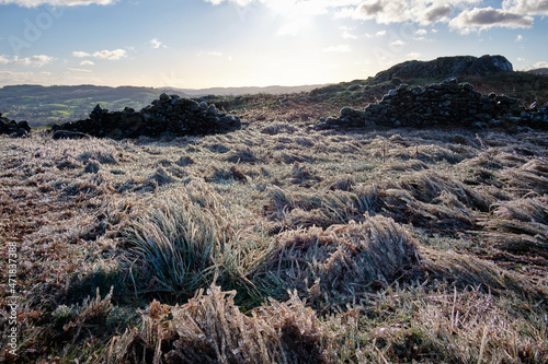 Light glinting throughout ice rime on reeds, Loughrigg Fell, Ambleside, Lake District, UK photo