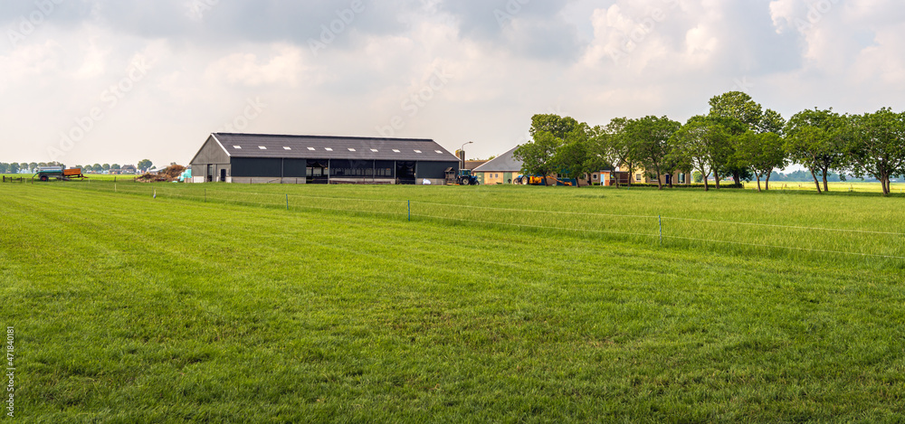 Modern Dutch farm with lots of grassland in the province of North Brabant. The photo was taken on a slightly cloudy day at the end of the spring season. - obrazy, fototapety, plakaty 
