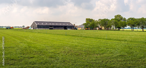 Fotografia Modern Dutch farm with lots of grassland in the province of North Brabant