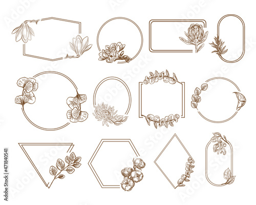 Botanical framework. Vector illustration vintage style. Logo design, wedding