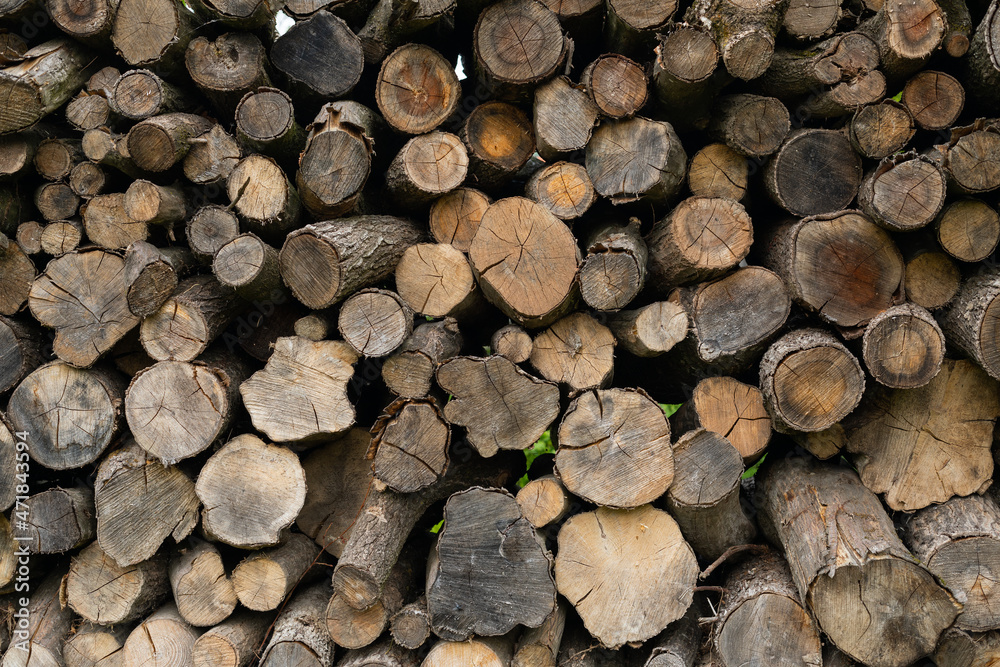 Fototapeta premium Firewood stack