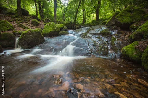 Fototapeta Naklejka Na Ścianę i Meble -  ruisseau de Brisecou près d'autun en Bourgogne en été