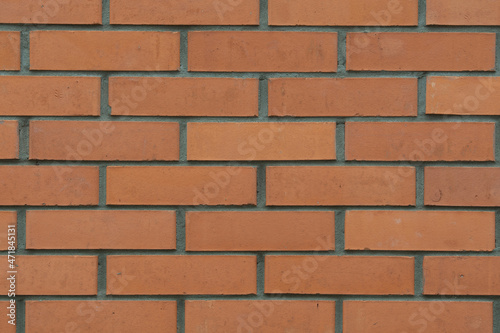 The background of the wall is made of textured clay bricks, with beautifully embroidered seams. The texture of a red brick wall bonded with cement mortar.
