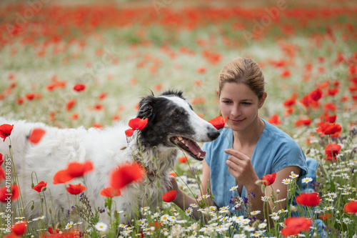 Woman with Russian wolfhound dog in poppy field photo