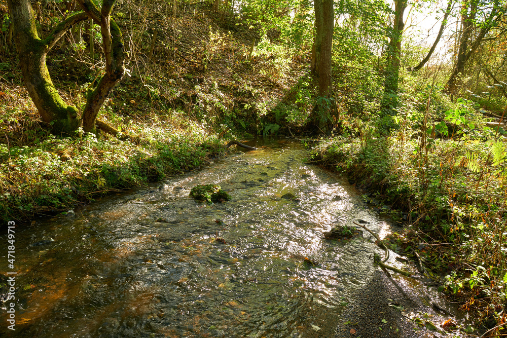 Shallow woodland stream example Shallow woodland stream example