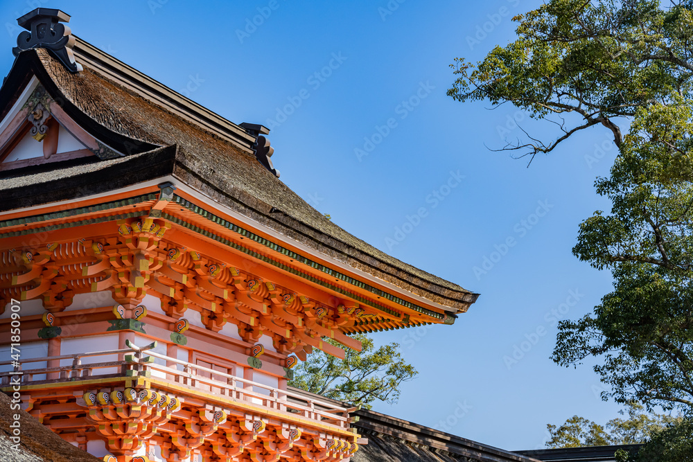 宇佐神宮 宇佐神宮