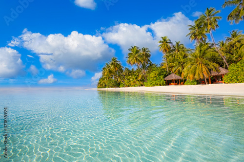 Maldives island beach. Tropical landscape of summer scenery, white sand with palm trees. Luxury travel vacation destination. Exotic beach landscape. Amazing nature, relax, freedom nature resort coast