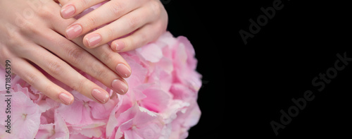 Beautiful Healthy nails. Manicure  Beautiful Woman s hands  Spa. Female hands with beautiful natural pink french elegant manicure on hydrangea flower. Skincare. Salon  treatment. Isolated on black