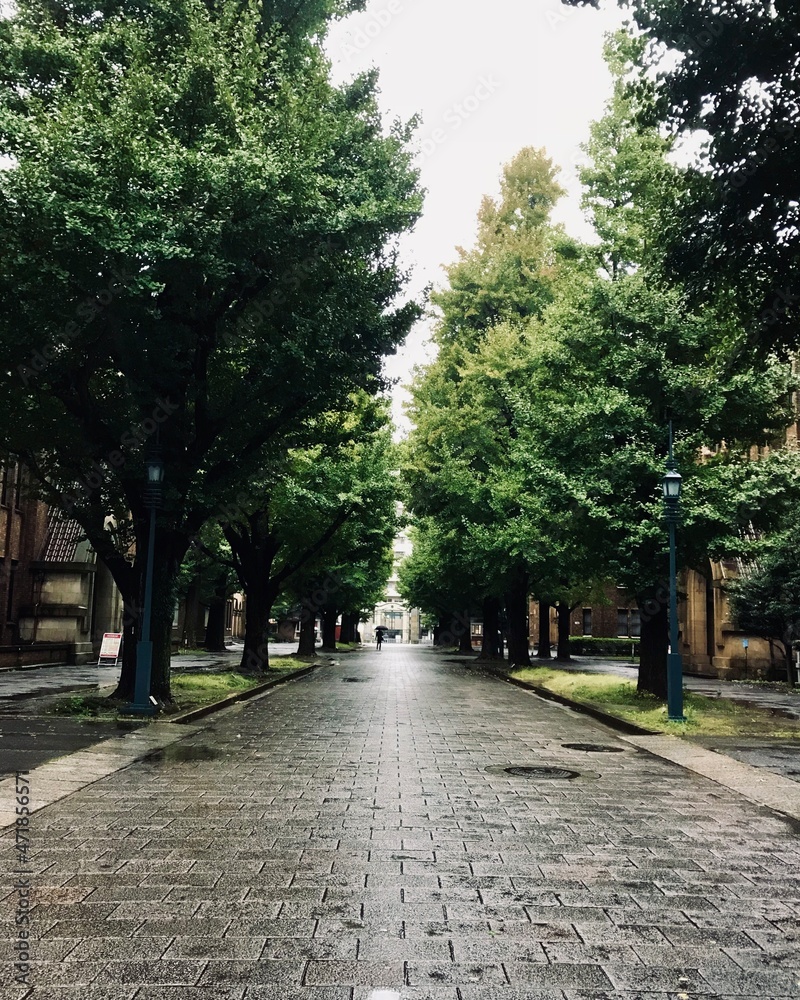 One rainy afternoon at a university in Tokyo, Japan.