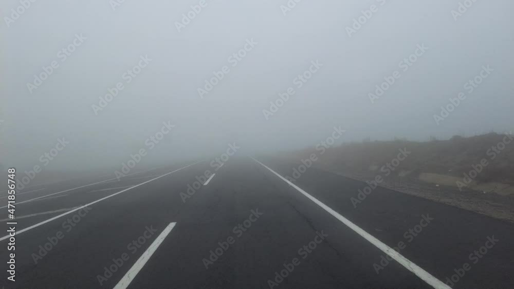Danger foggy asphalt road in the forest Danger foggy asphalt road in the forest