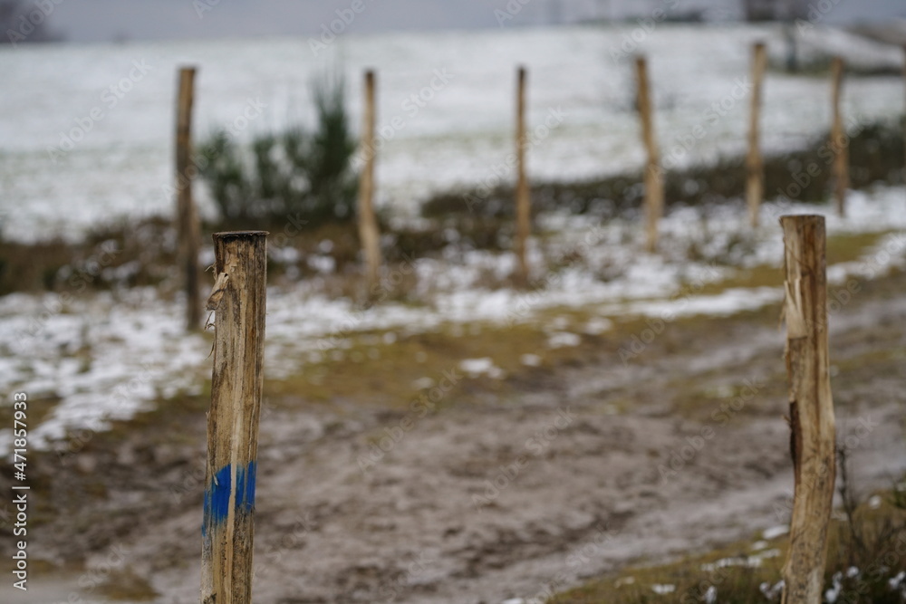 Winter Landschaft im Siegerland und im Sauerland in Südwestfalen mit grünen Wiesen und durch Schnee bedeckten Kuppen Winter Landschaft im Siegerland und im Sauerland in Südwestfalen mit grünen Wiesen und durch Schnee bedeckten Kuppen