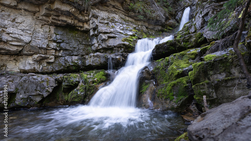 Small cascade waterfall hidden in a forest, Canadian Rockies, Canada