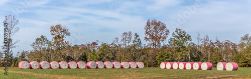 Schilderij op canvas Panoramic view of a row of cotton bails along the road in Flomaton, Alabama