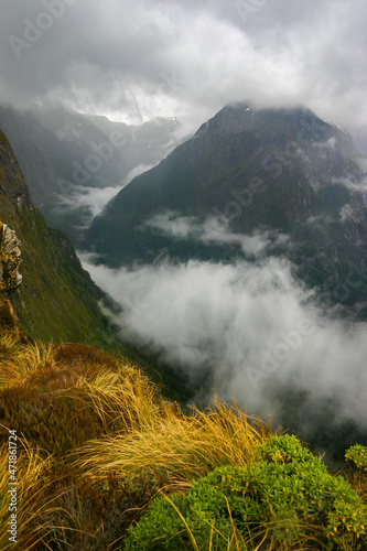 Mackinnon Pass , Milford Track, New Zealand photo