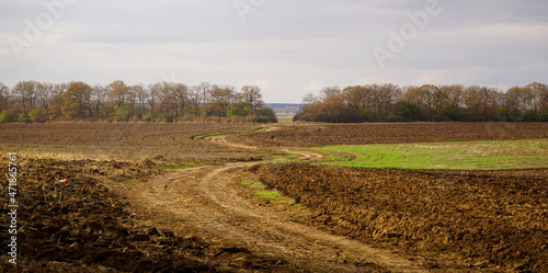 Agricultural field with dirt and twisted road in the middle. Freshly plowed land during autumn with oak trees in the background.