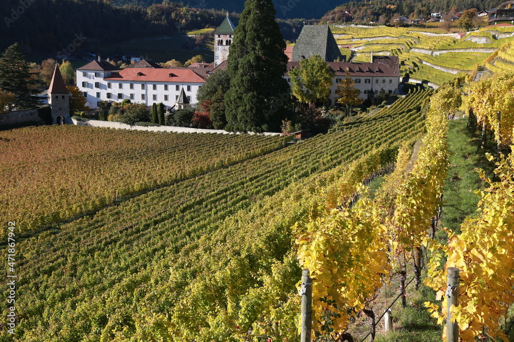 Landscape with vineyards in South Tyrol in autumn colors. 